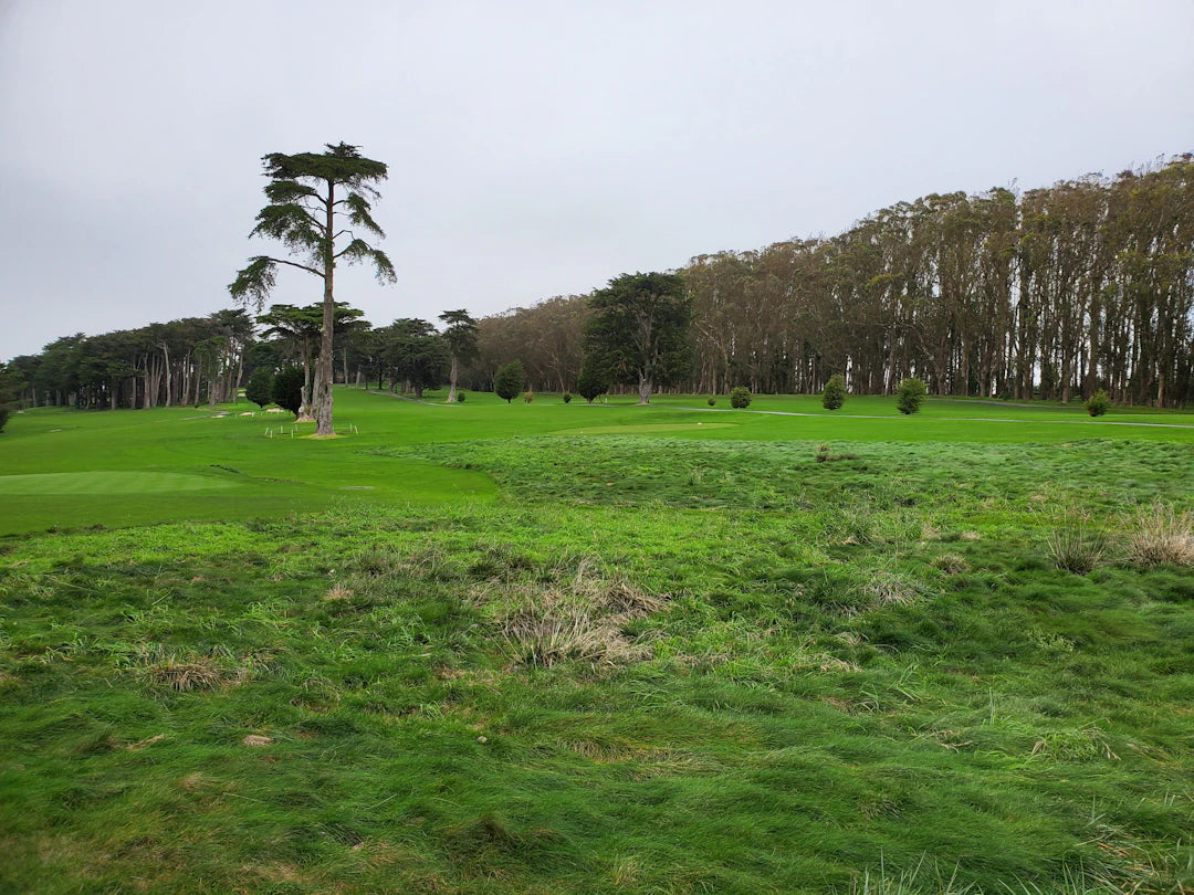 Classic Fairway Woods for Right-Handed Golfers