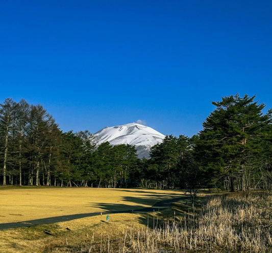 Why Japan is the Ultimate Destination for Golf Lovers