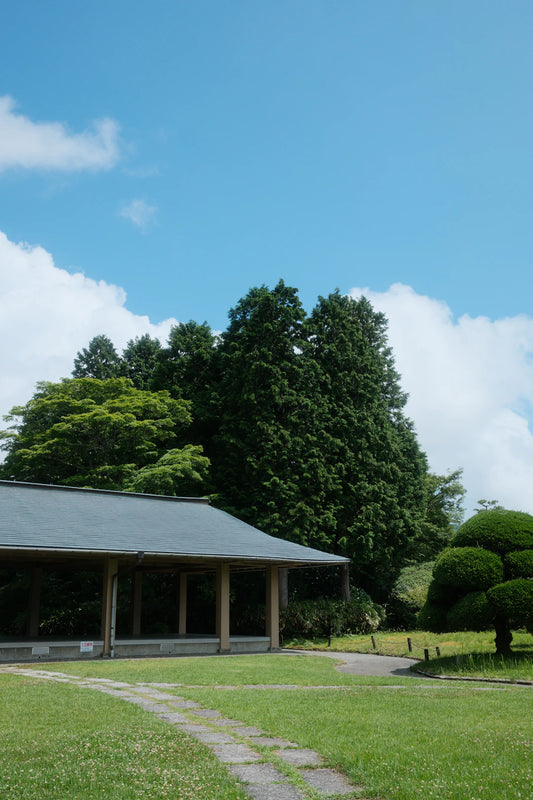 Discovering the Unique Aesthetics of Japanese Golf Courses